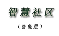 焦粉